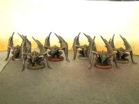 /album/galerie-de-photos-descent/chauves-souris-jpg/